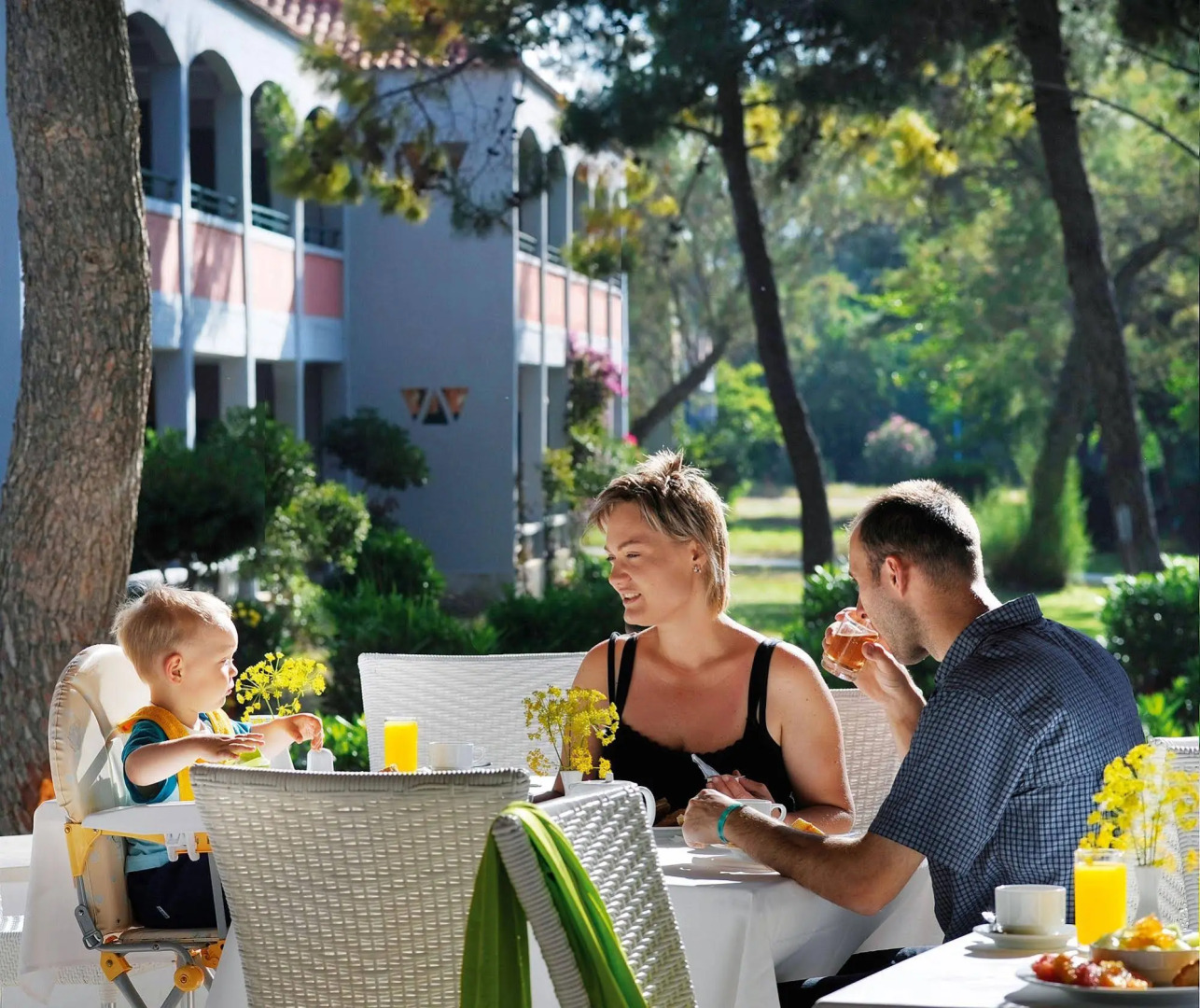 Domes Aulus Zante, Autograph Collection