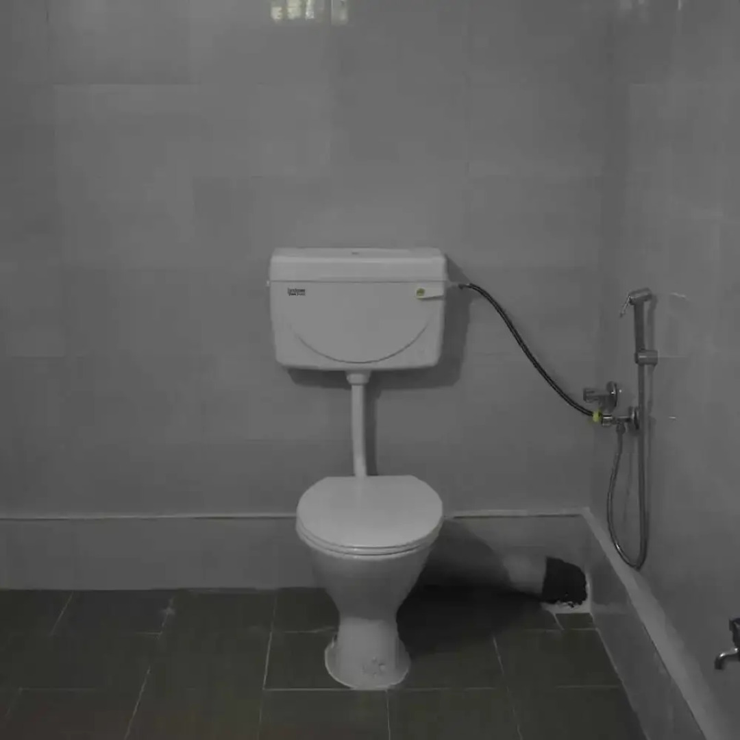 Homocation Ray Homestay