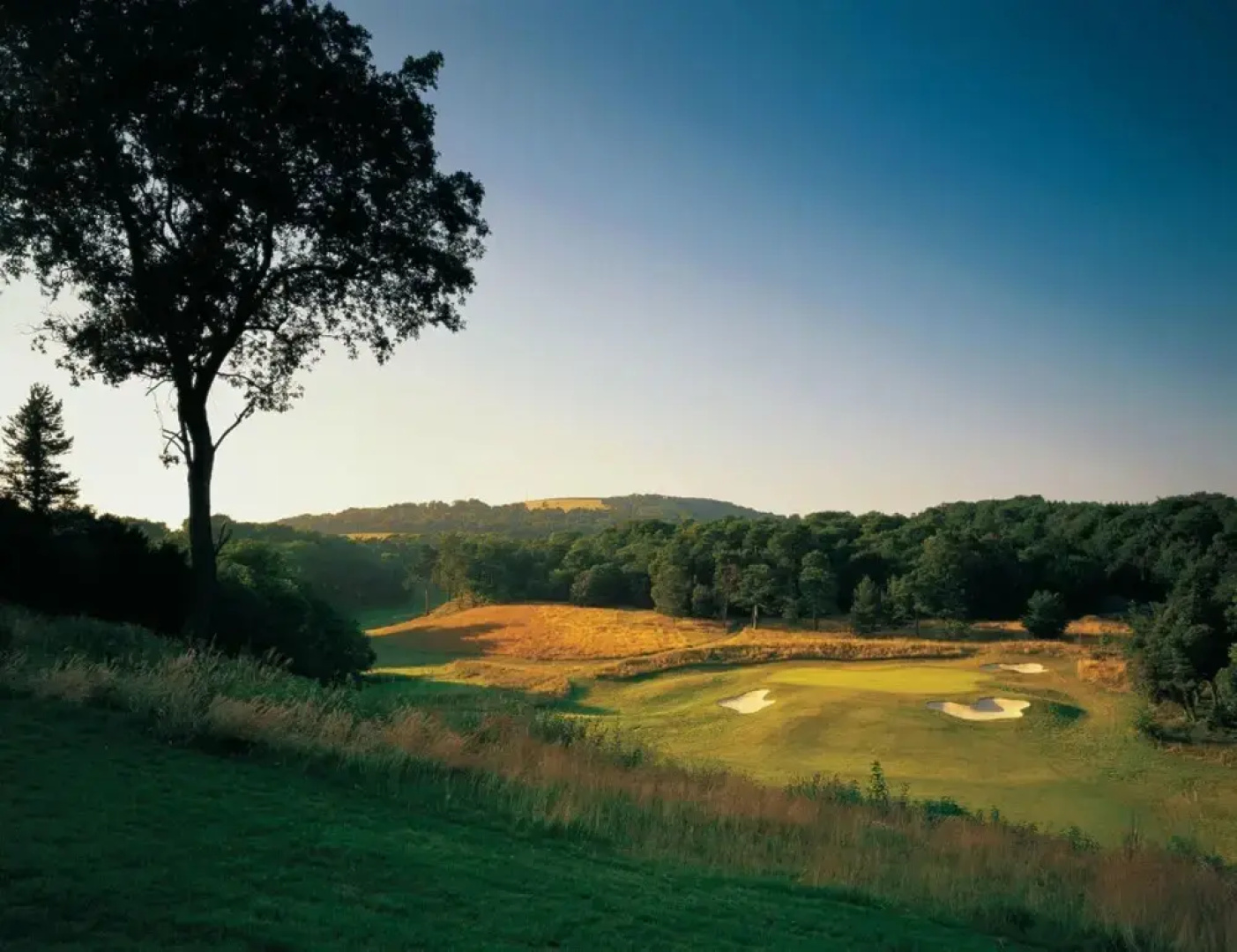 The Goodwood