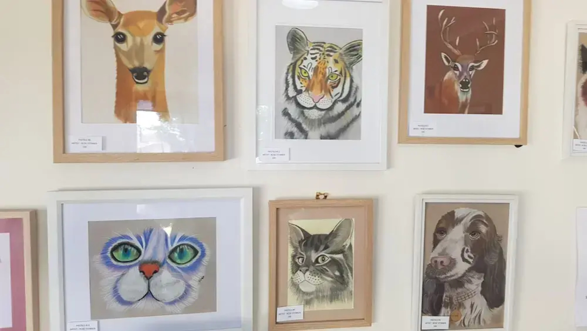 Finley Palm Motor Inn