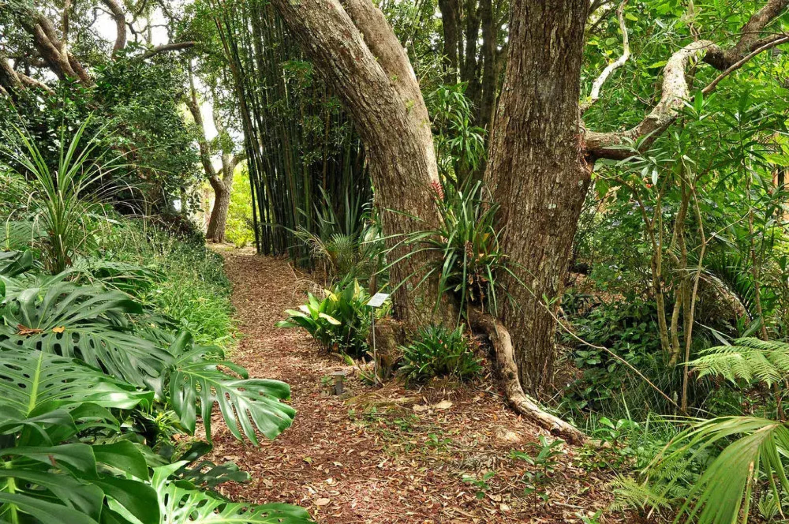 Sanctuary in the Cove