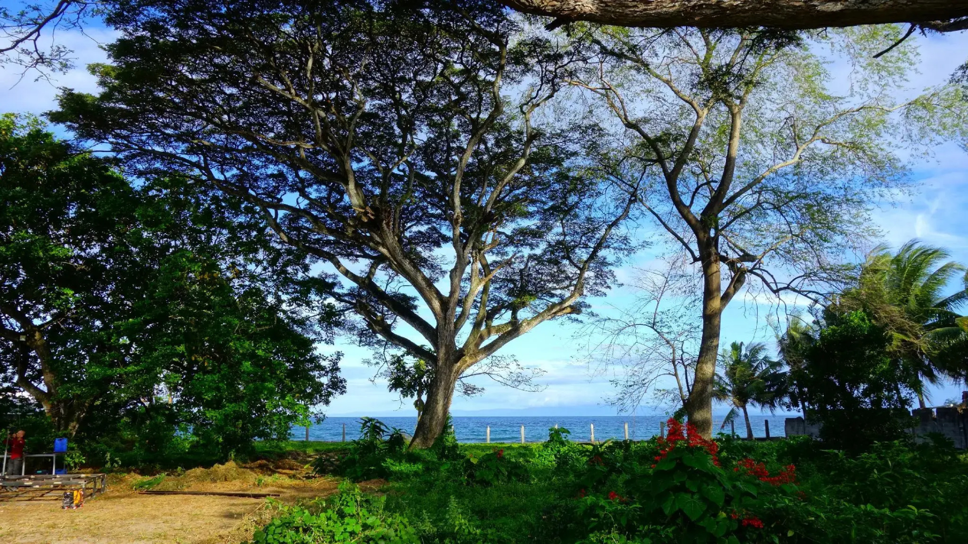 Pandora Beach Eco Resort
