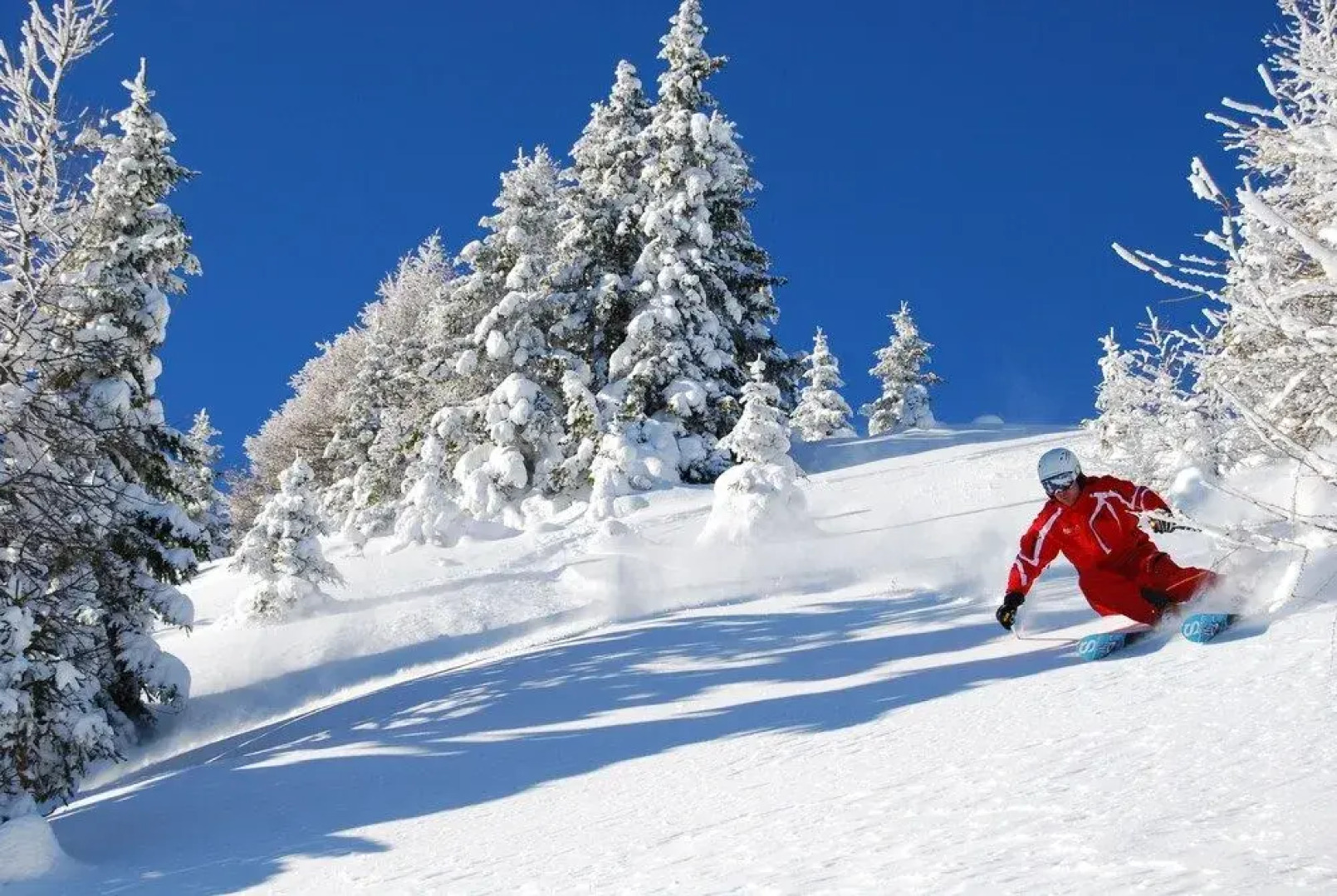 Appartementhaus Speckalm