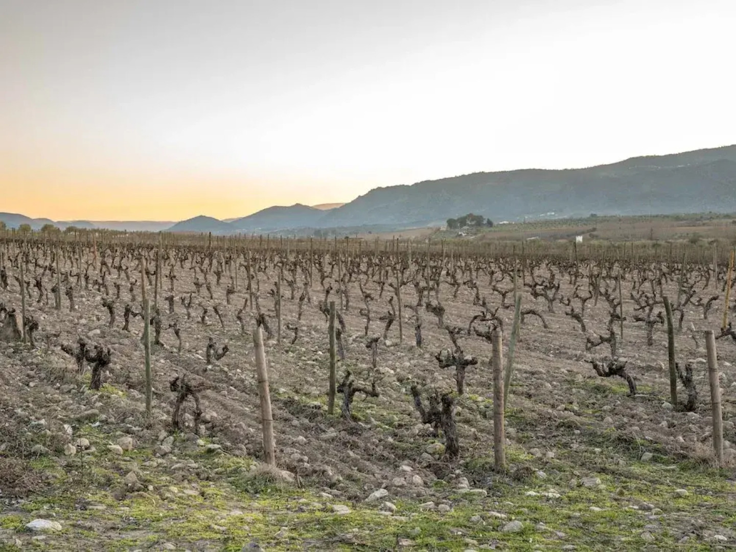 Cozy Cottage in Vila Flor With Swimming Pool