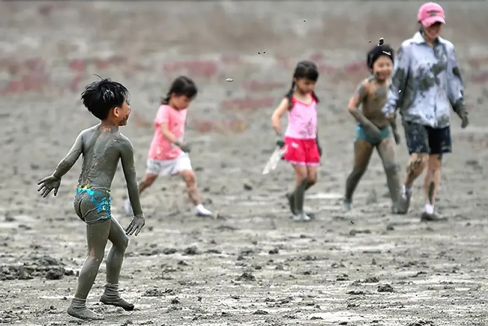 Naeip clover pension