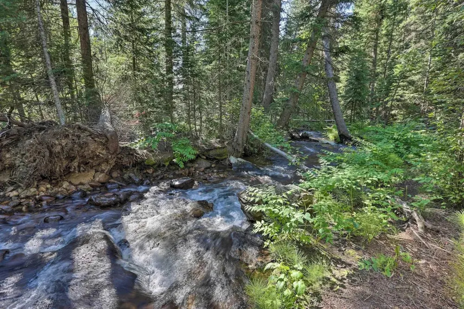 Creekside Mtn House w/ Deck: 8 Mi to Idaho Springs