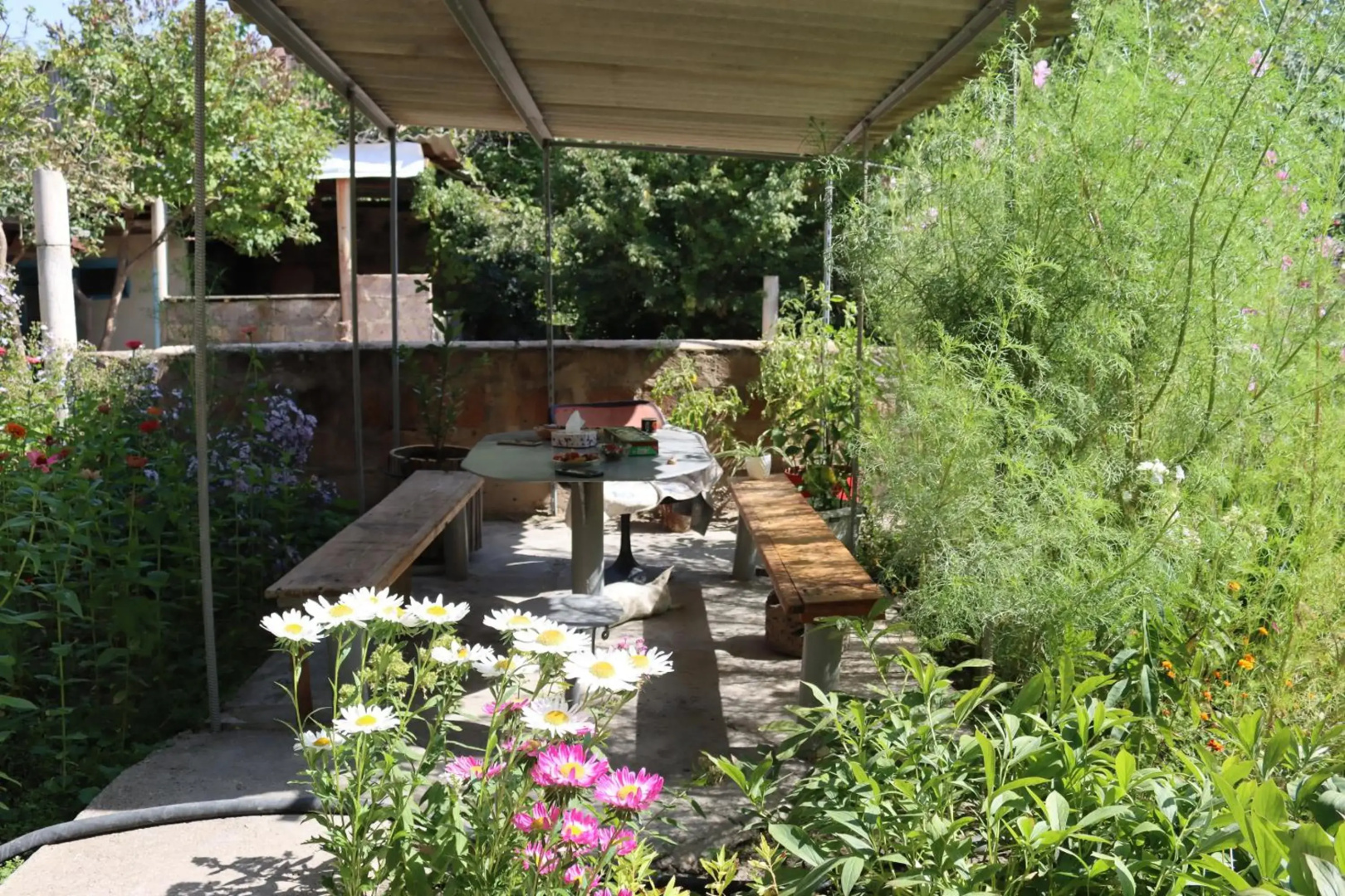 Selina Guest House