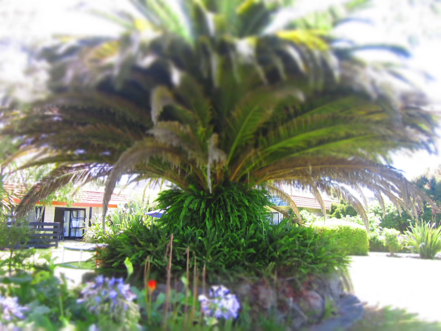 Bay of Islands Country Lodge Motel