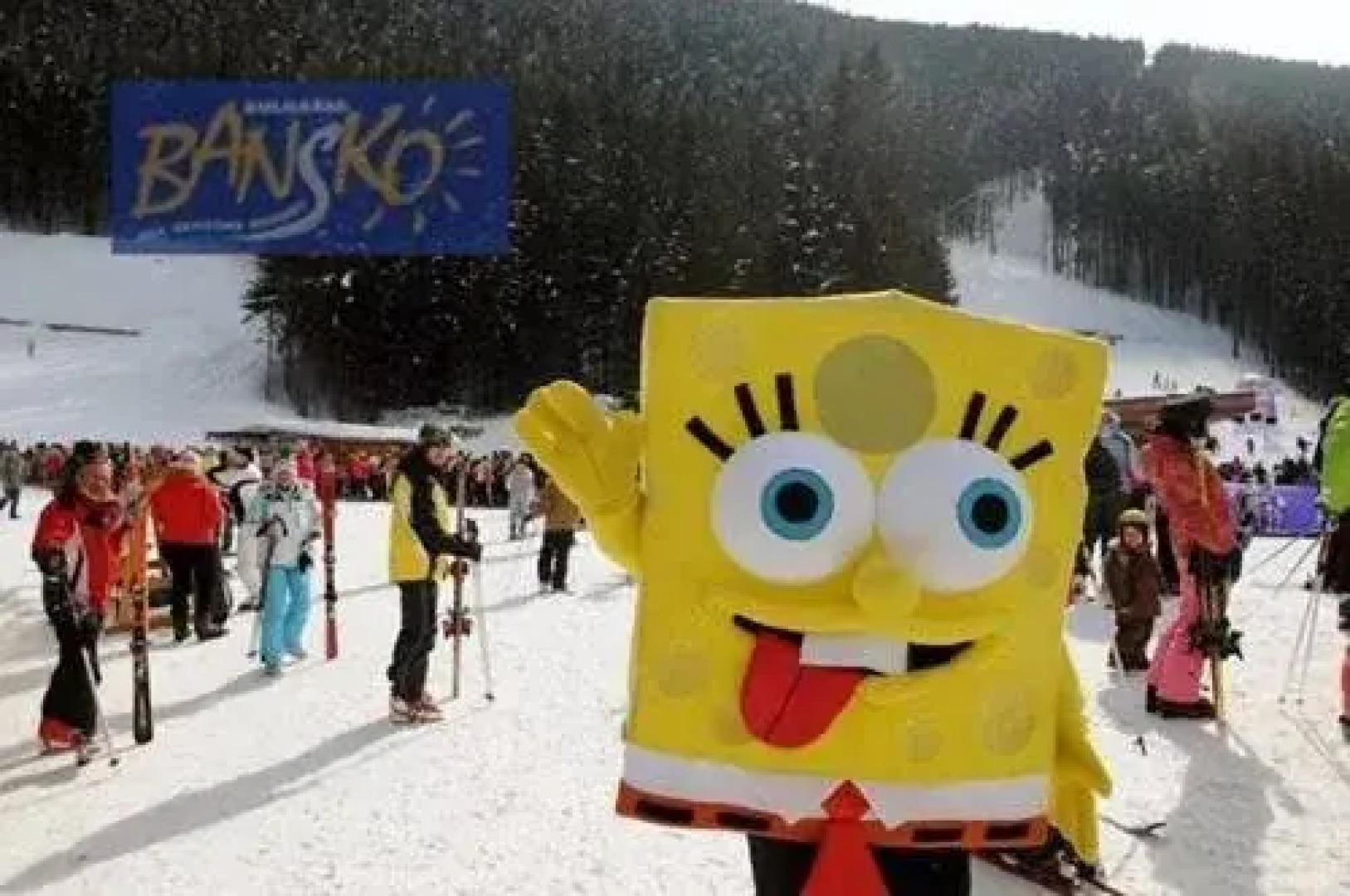 Matsureva House Pri Ivan