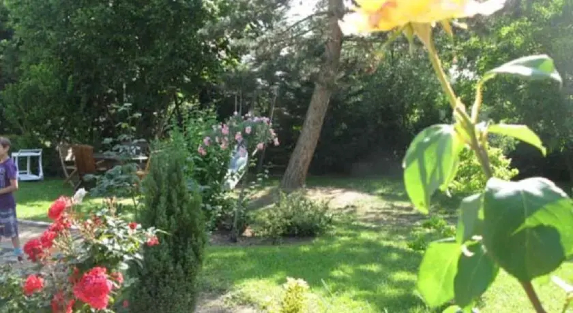 Studio Les Magnolias