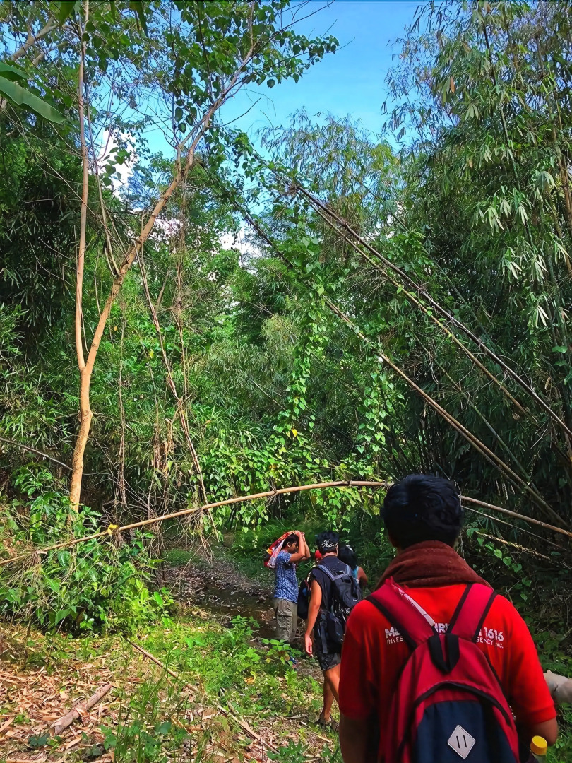 Singalong Nature Camphill Site