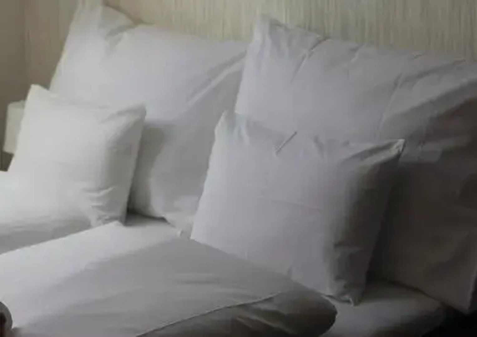 Penzion Batovka u HOFFERA