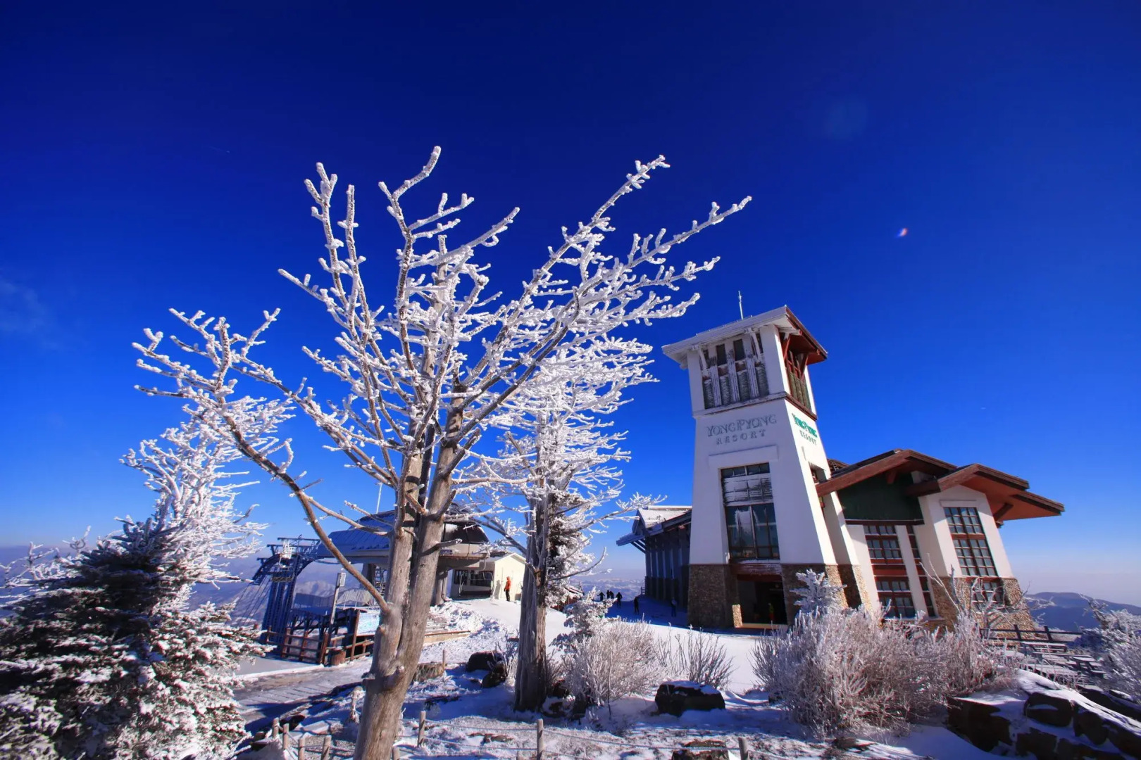 Mona Yongpyong Tower Condominium