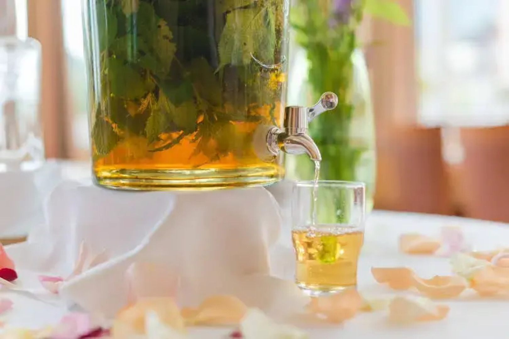 Aktivhotel Rohrmooserhof