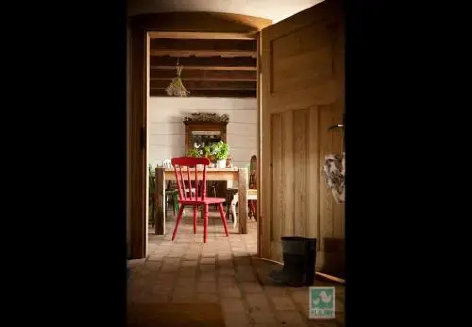 Plajny - Ogród Dobrych Myśli