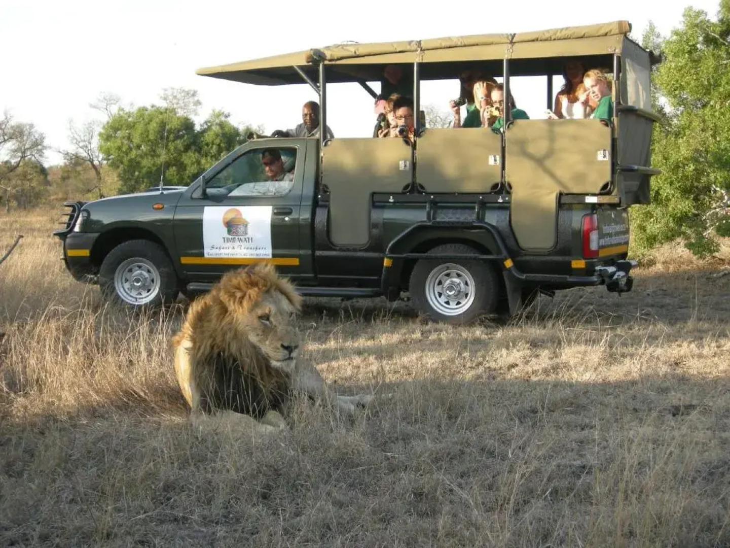 Timbavati Safari Lodge