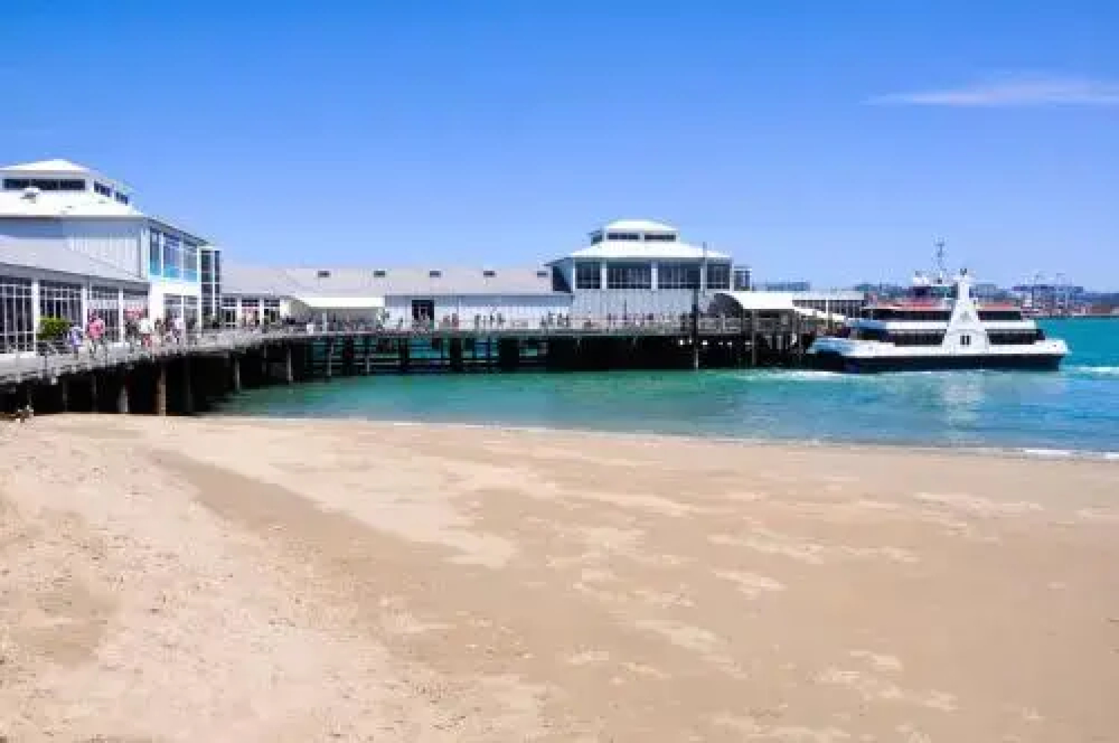 Devonport Palms