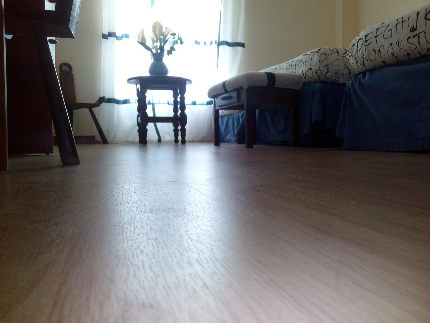 Nuevo Hotel Vista Alegre