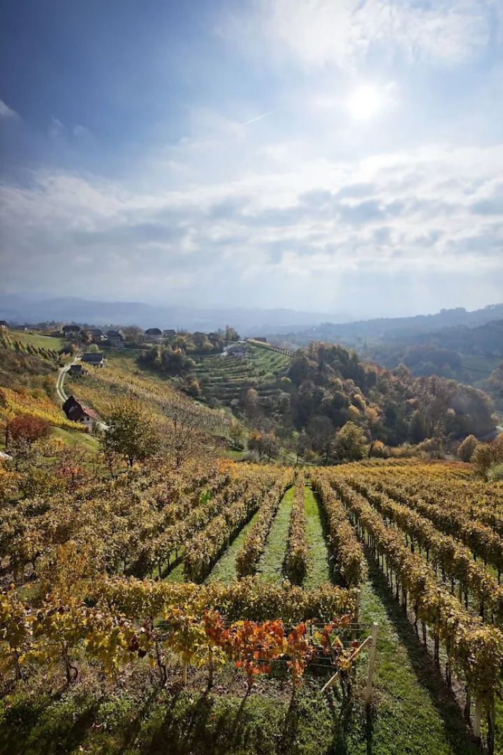 Vineyard cottage Ucman