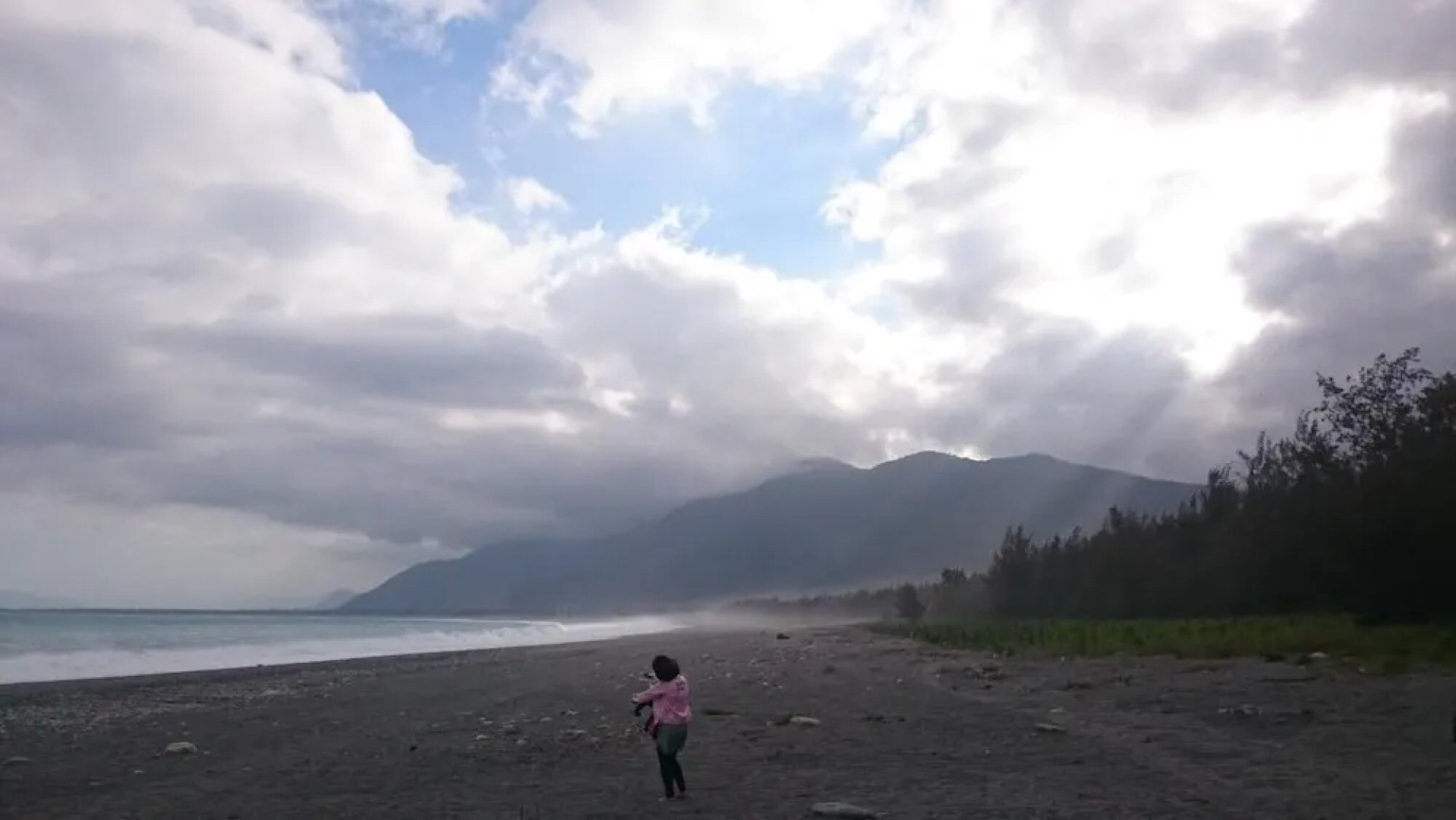 Flower and Green Collection