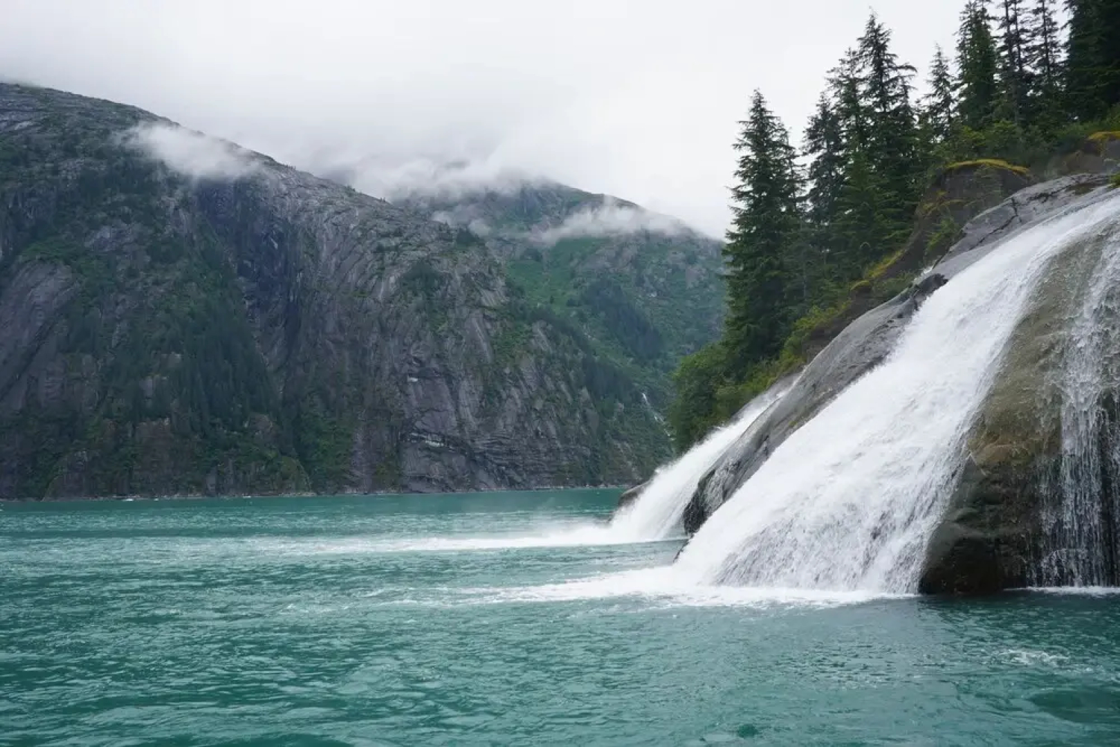 Pearson's Pond Luxury Suites