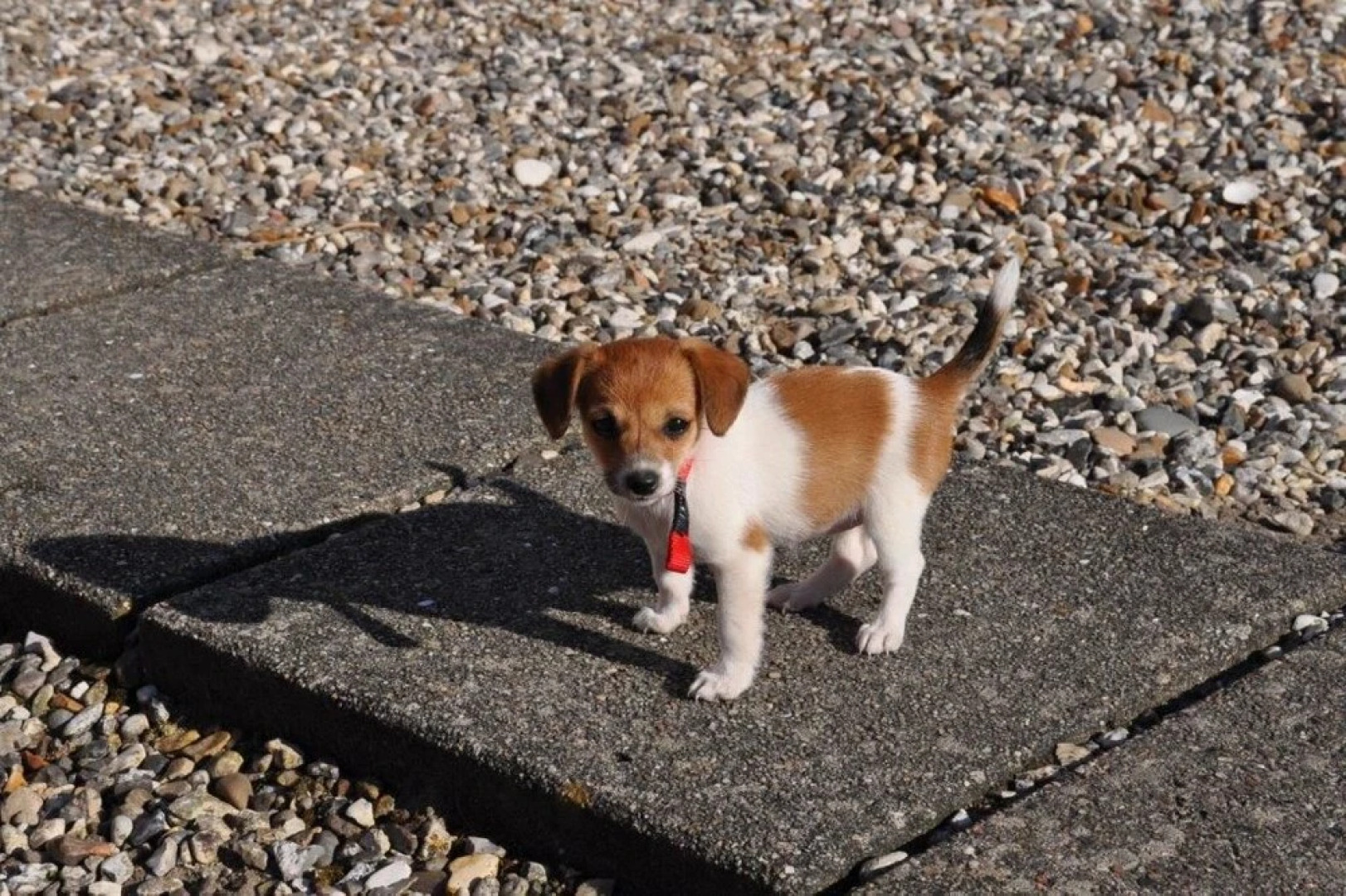 Krywilygaard Holiday Cottages