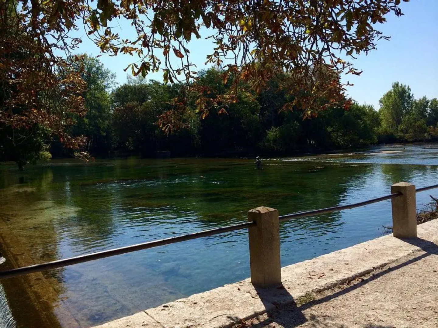 Studio de charme avec sa terrasse en plein coeur de ville