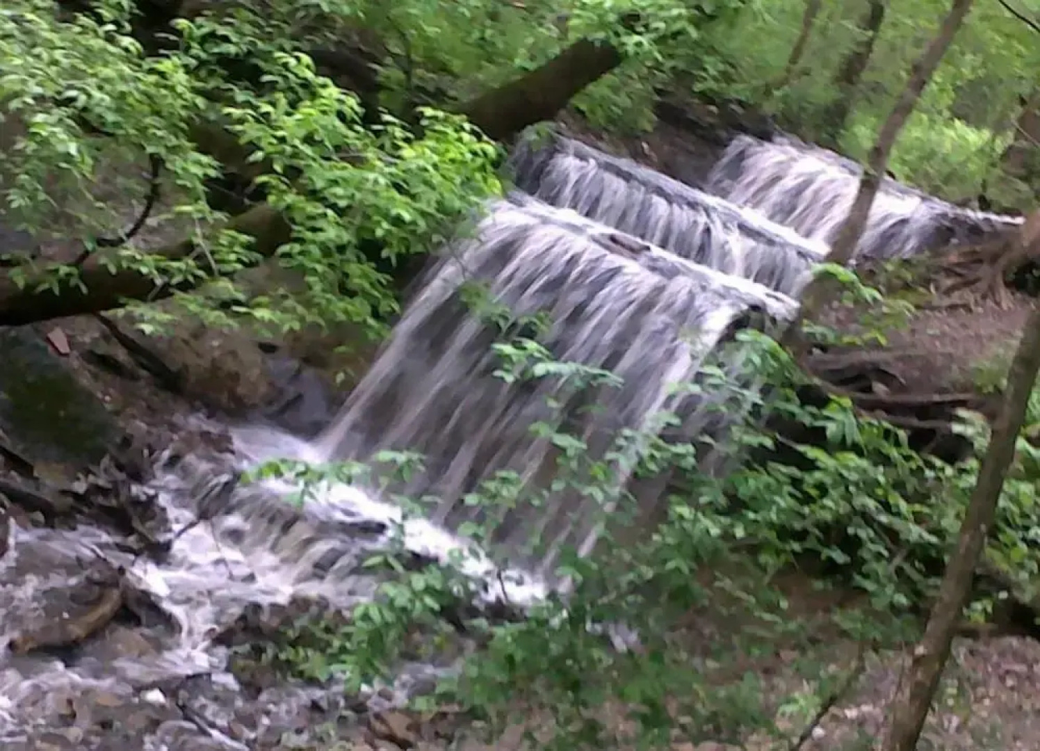 The Inn at Shattuck St. Mary's