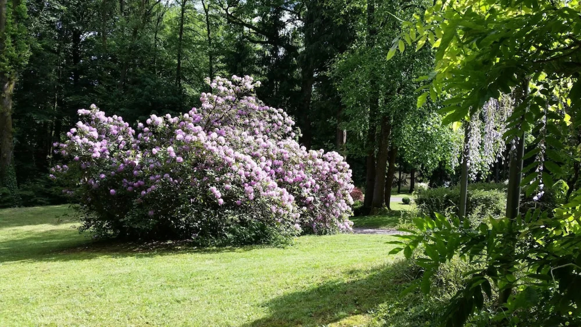 Château de la Houillere