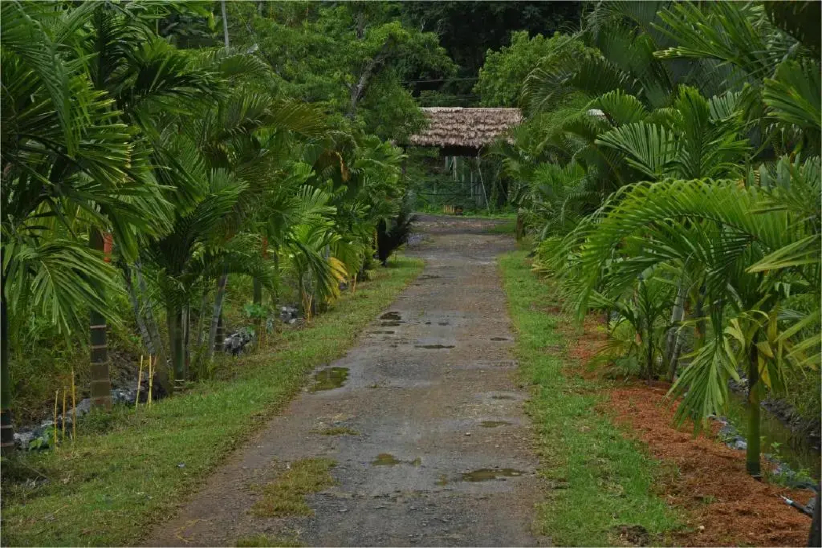 Pristine Beach Resorts