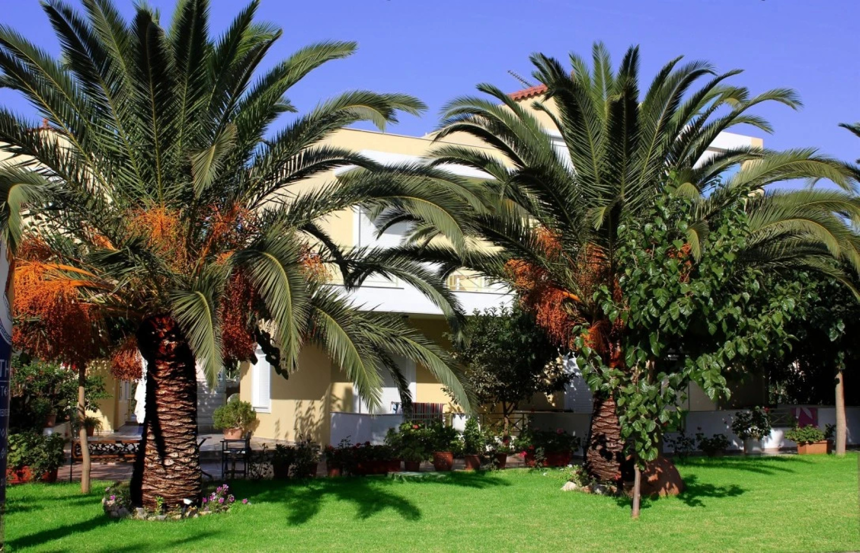 Hotel Athena