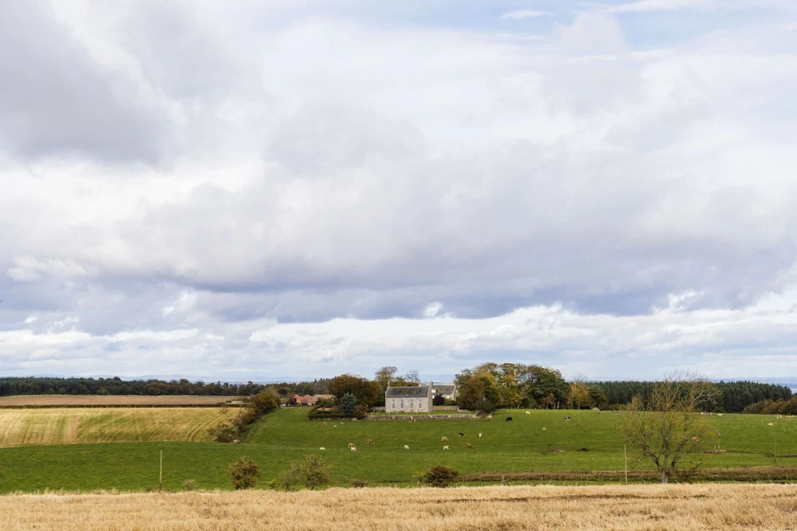 Rivendale Lodge 16. Stewart's Resort - St Andrews