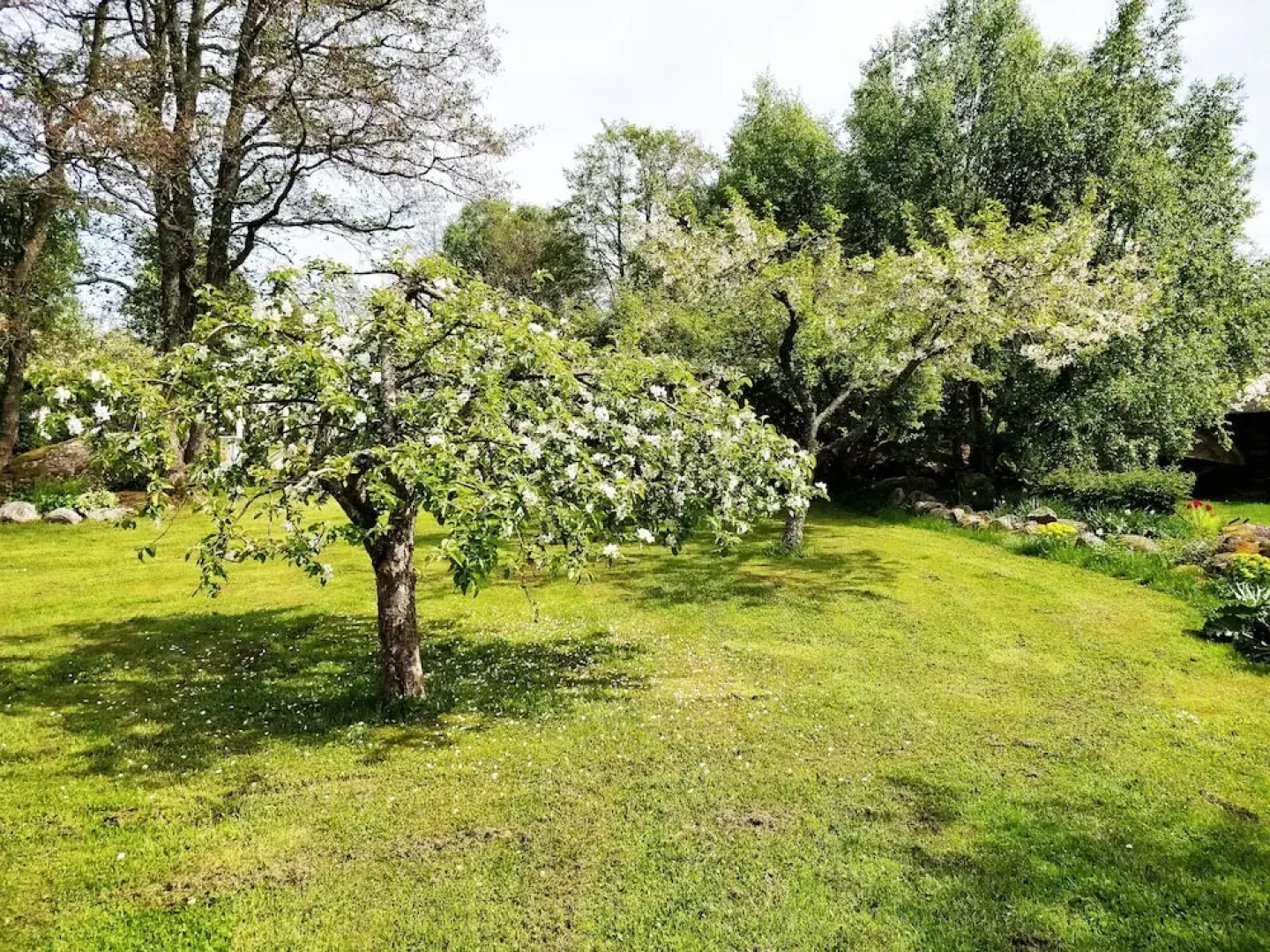 Красивый коттедж в Кабернеэме