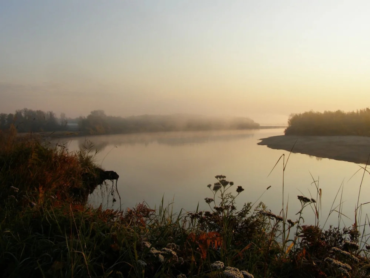 Отель Artlife Zaimka