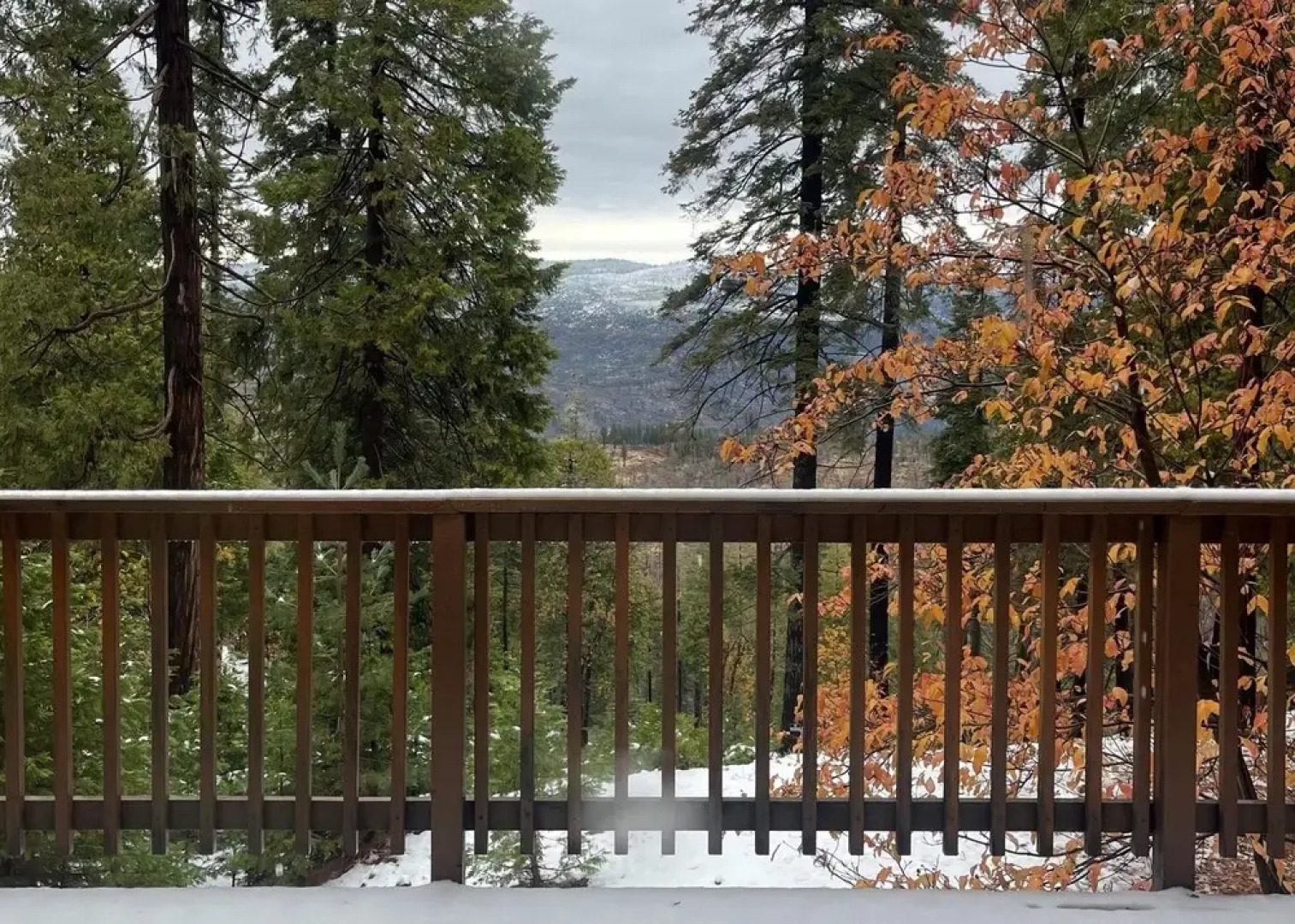 Yosemite Aviary and Quail Within Yosemite - 2 Separate Units, Up To 14 Guests!