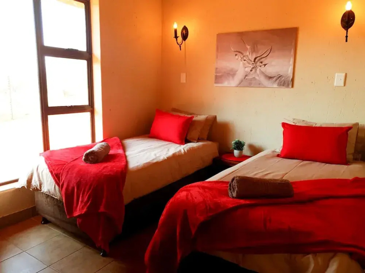 Zingela Nature Reserve - Leadwood Lodge