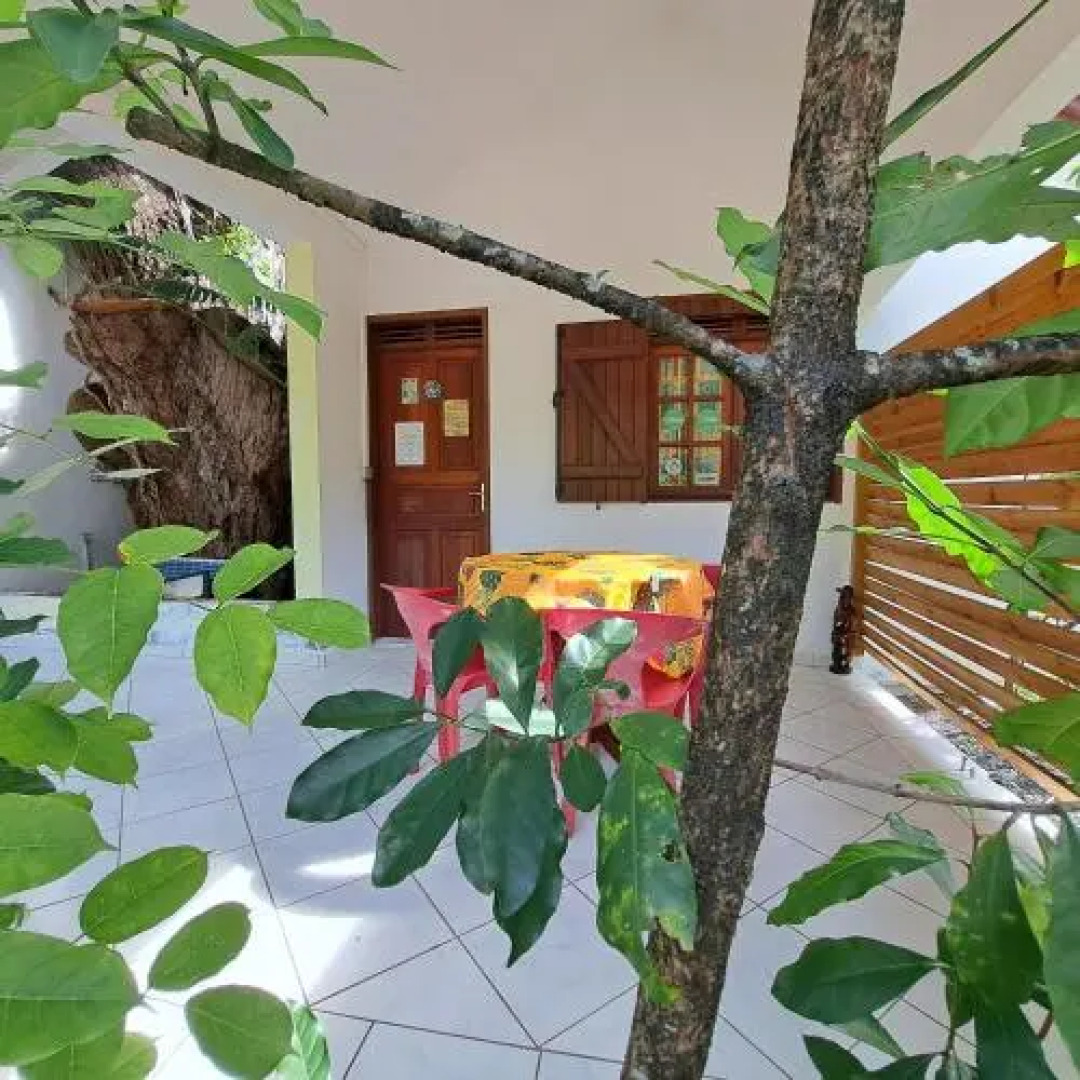 Les Manguiers Otantik