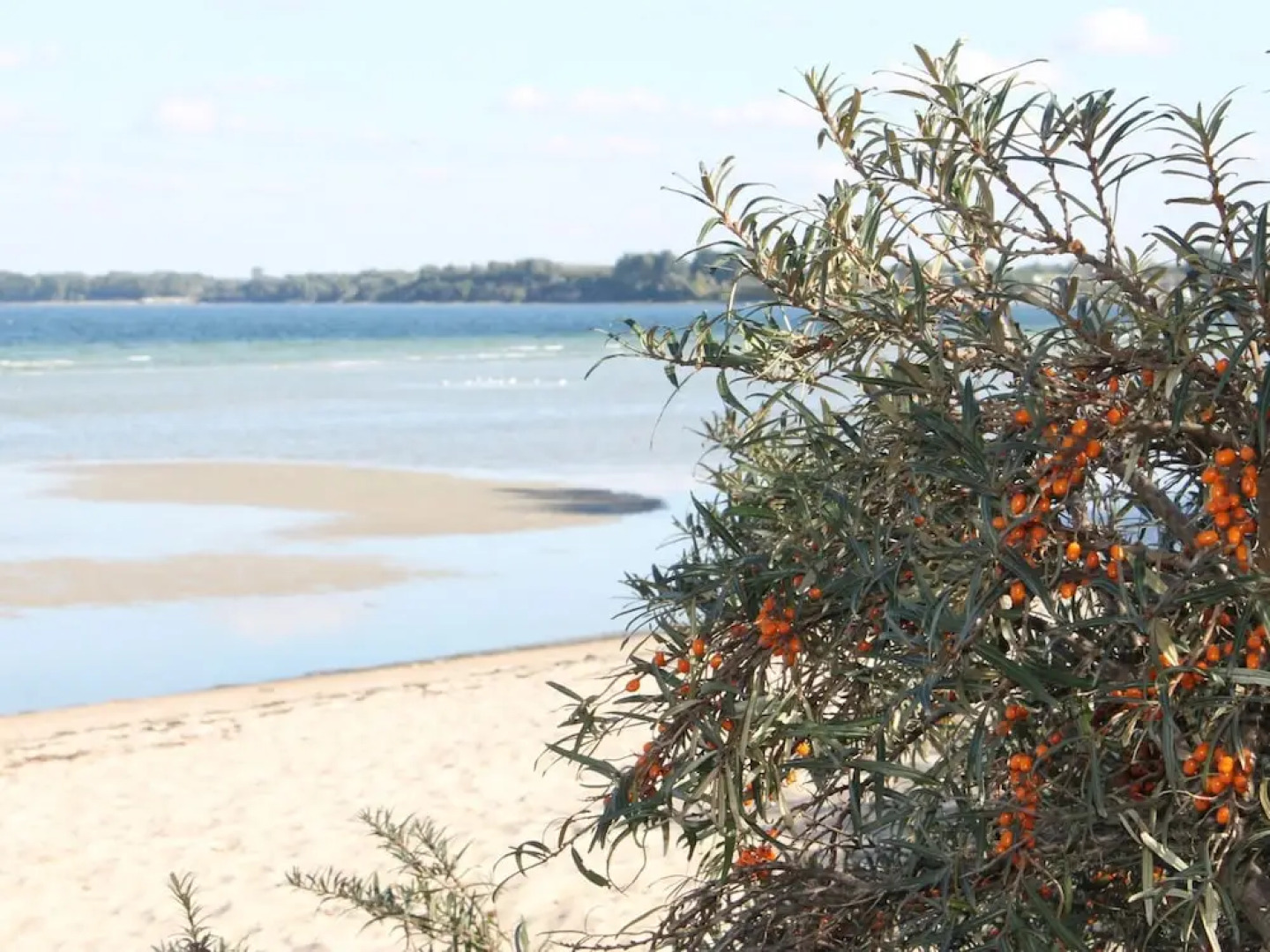 Wohnung mit Terrasse in Warnkenhagen