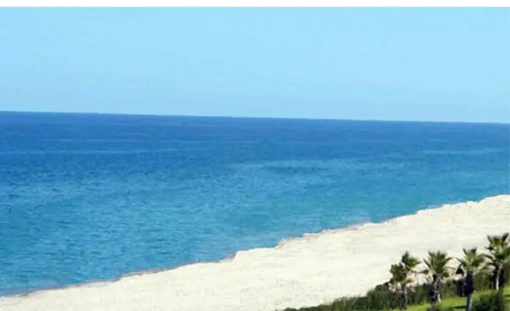 Stella Marina della Sicilia