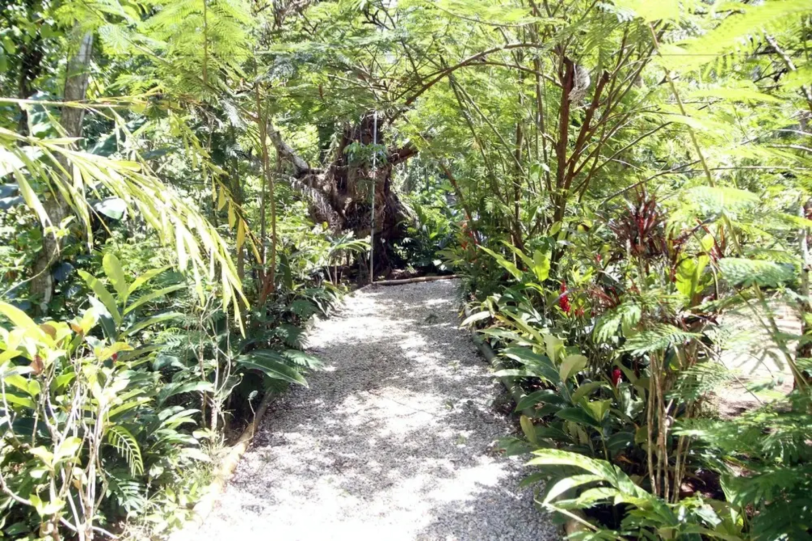 Samana Tropical Village