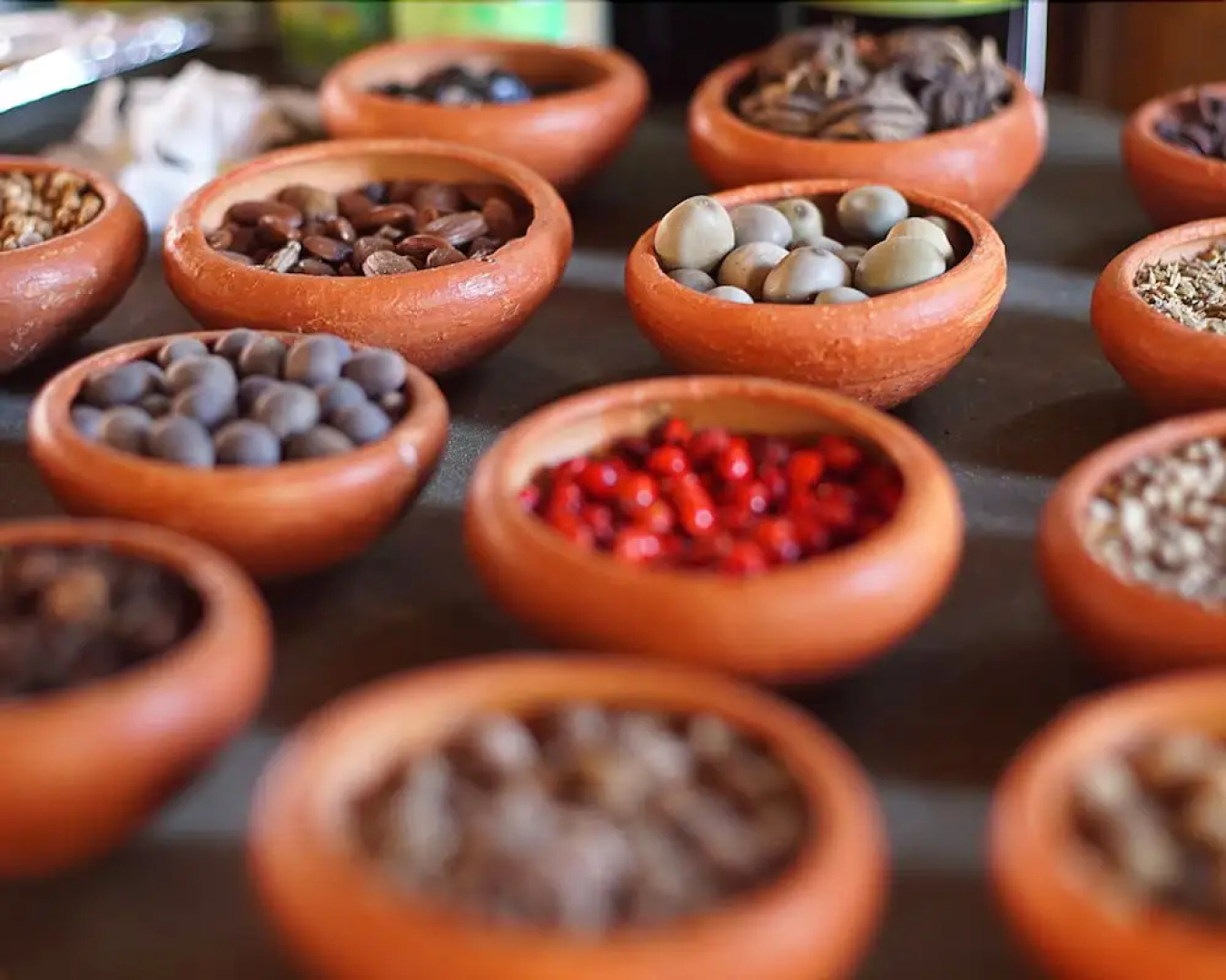 De Silva Windresort Kalpitiya