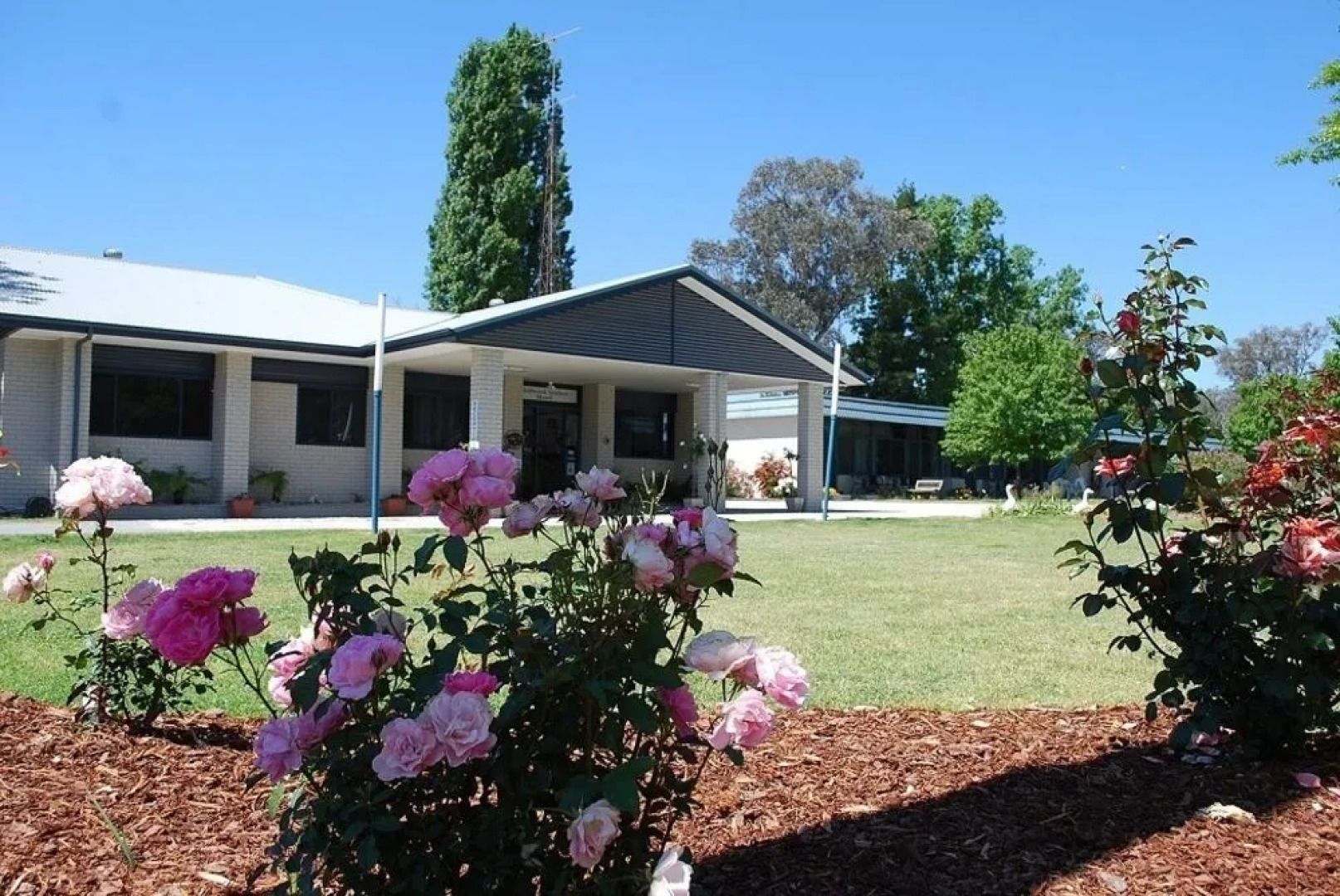 Holbrook Settlers Motel