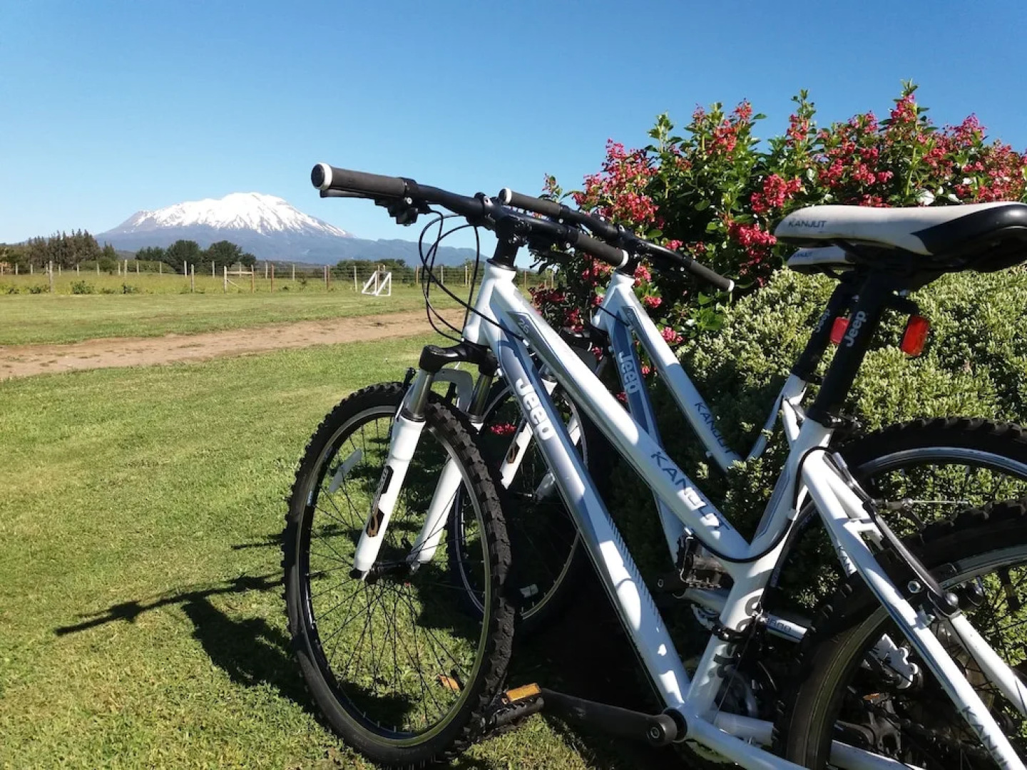 Loft y Cabañas Ensenada