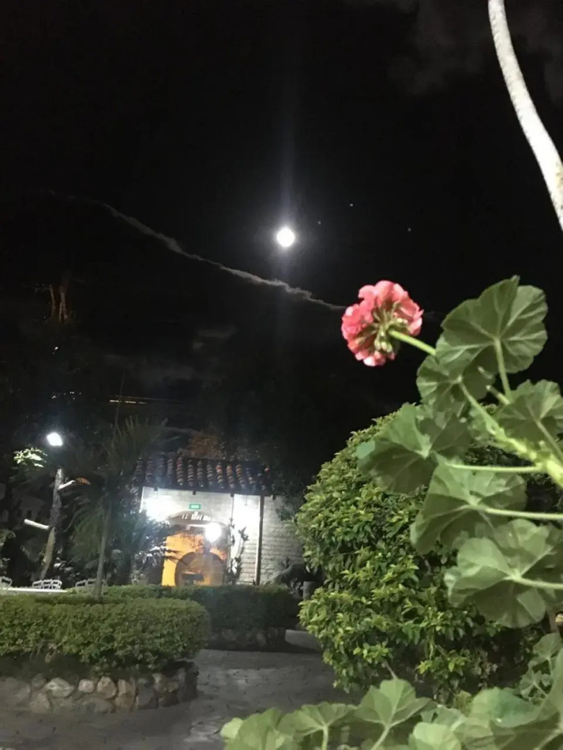 Hostal Jardín Escondido