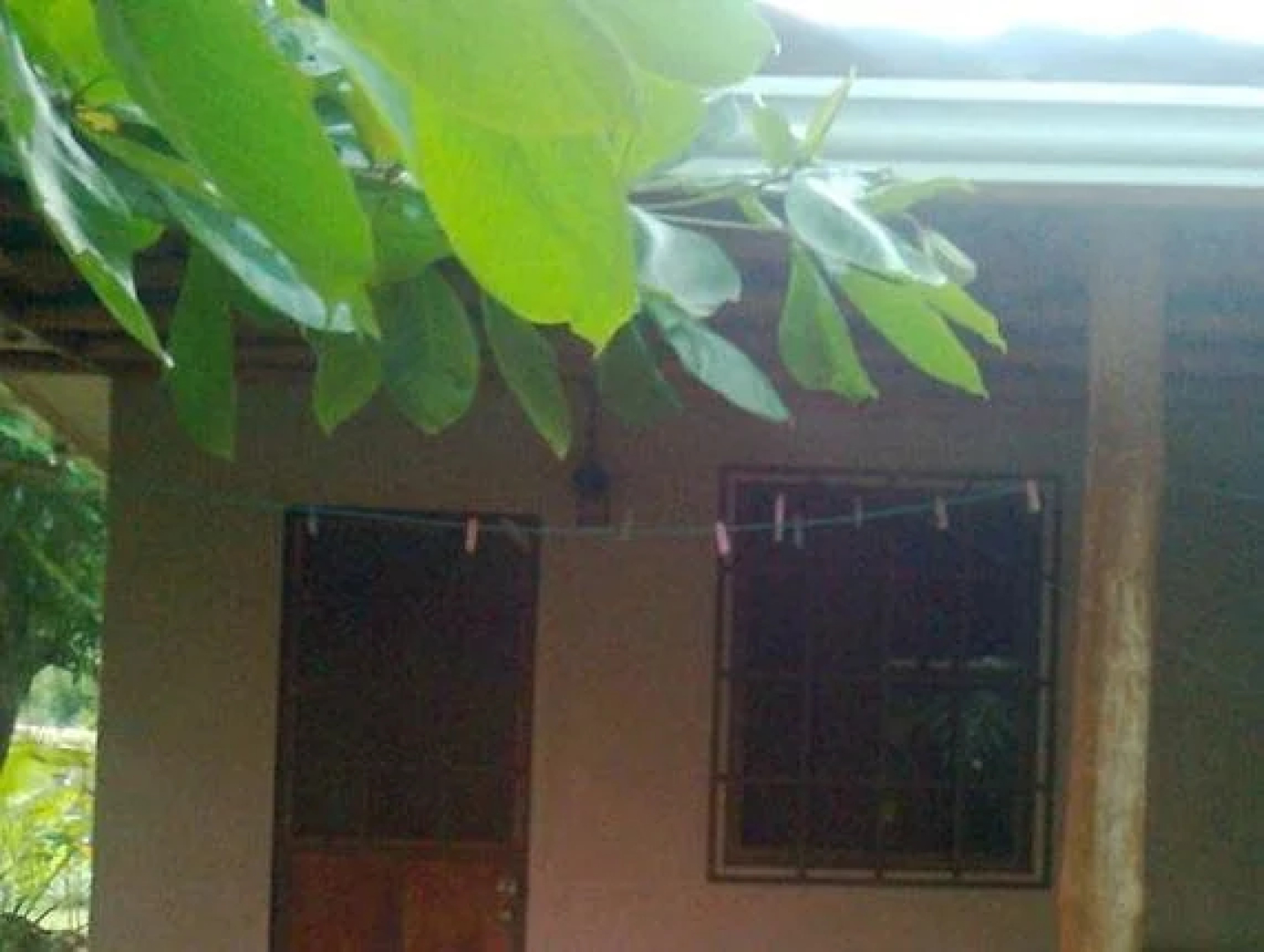 Finca Paraiso