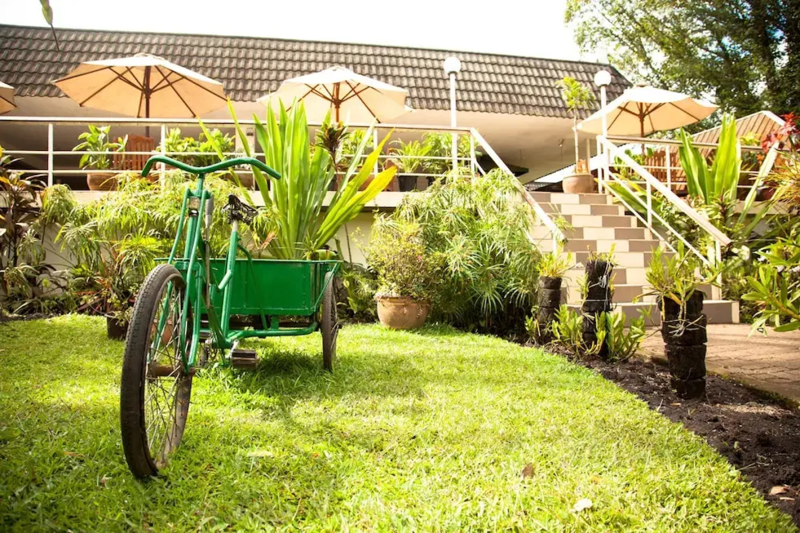 Bird of Paradise Hotel