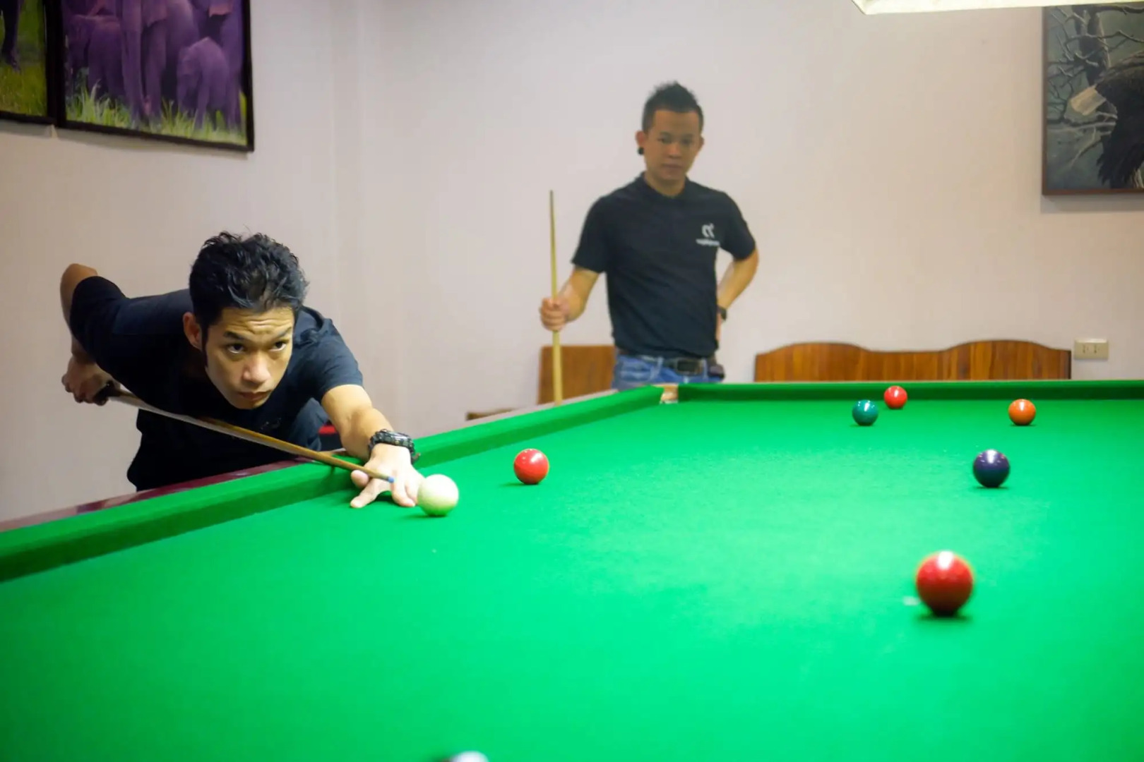 Sappraiwan Elephant Resort & Sanctuary