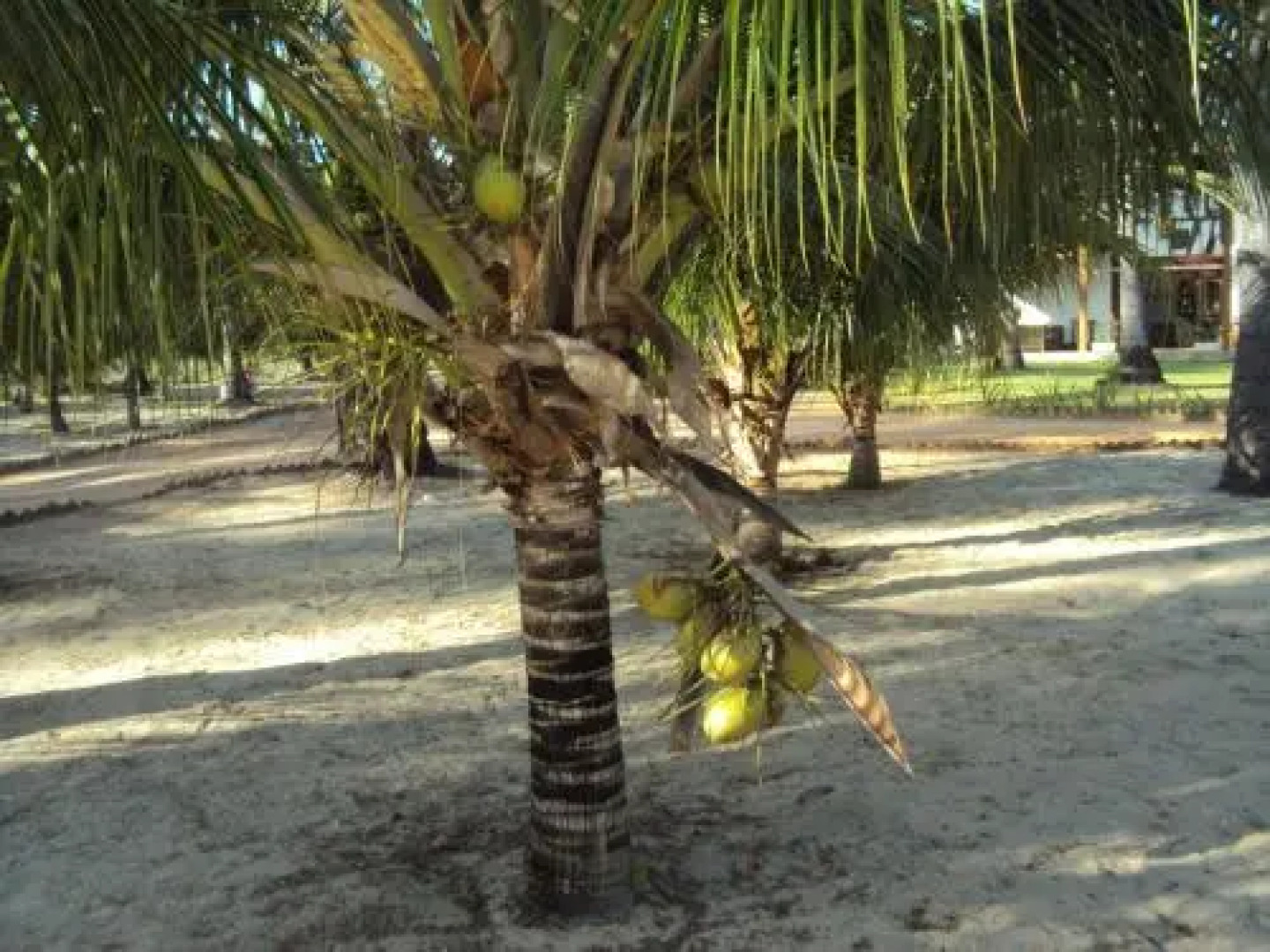 Casa de Temporada Muricis