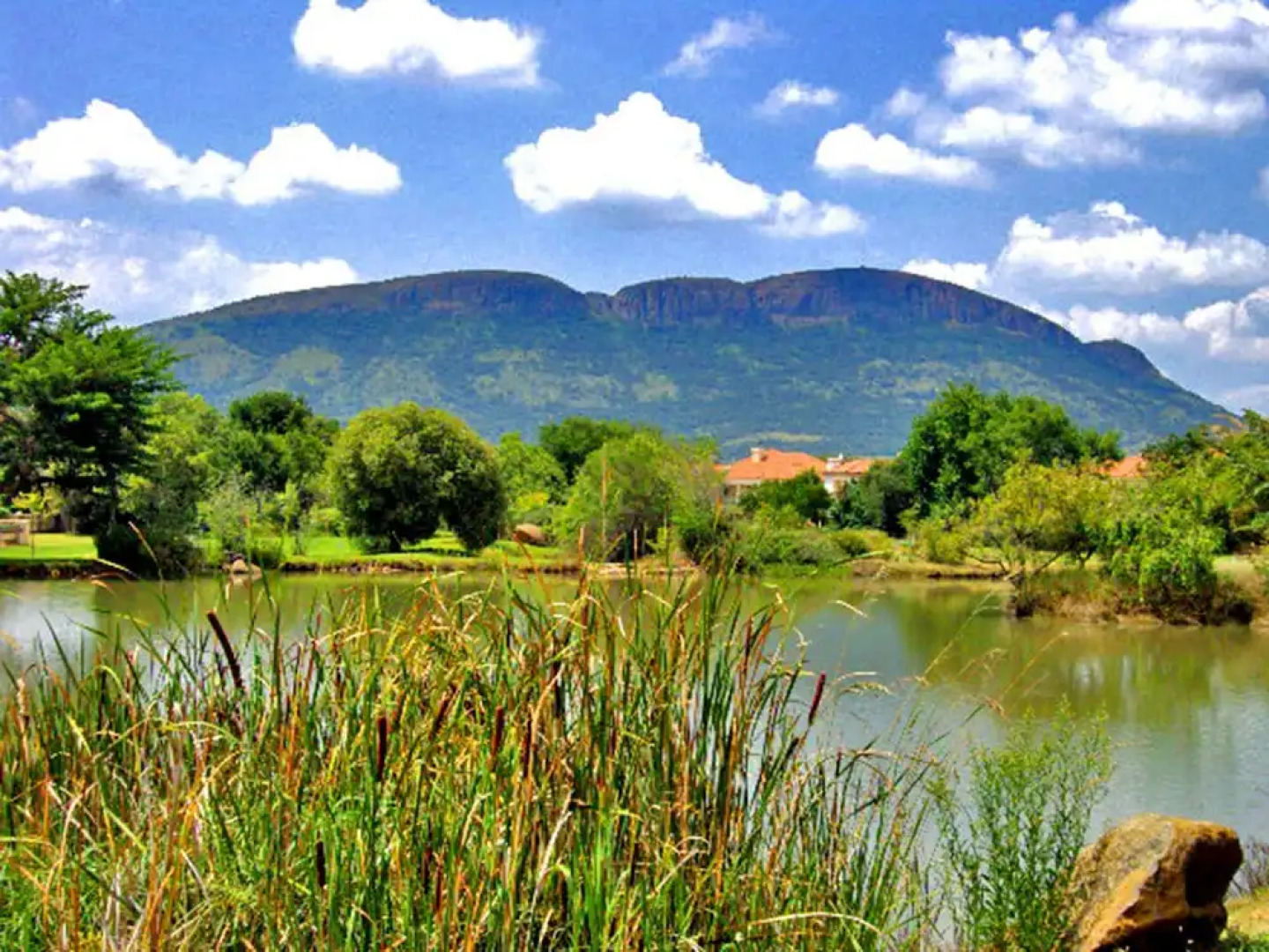 Jeanette's Villa at Westlake