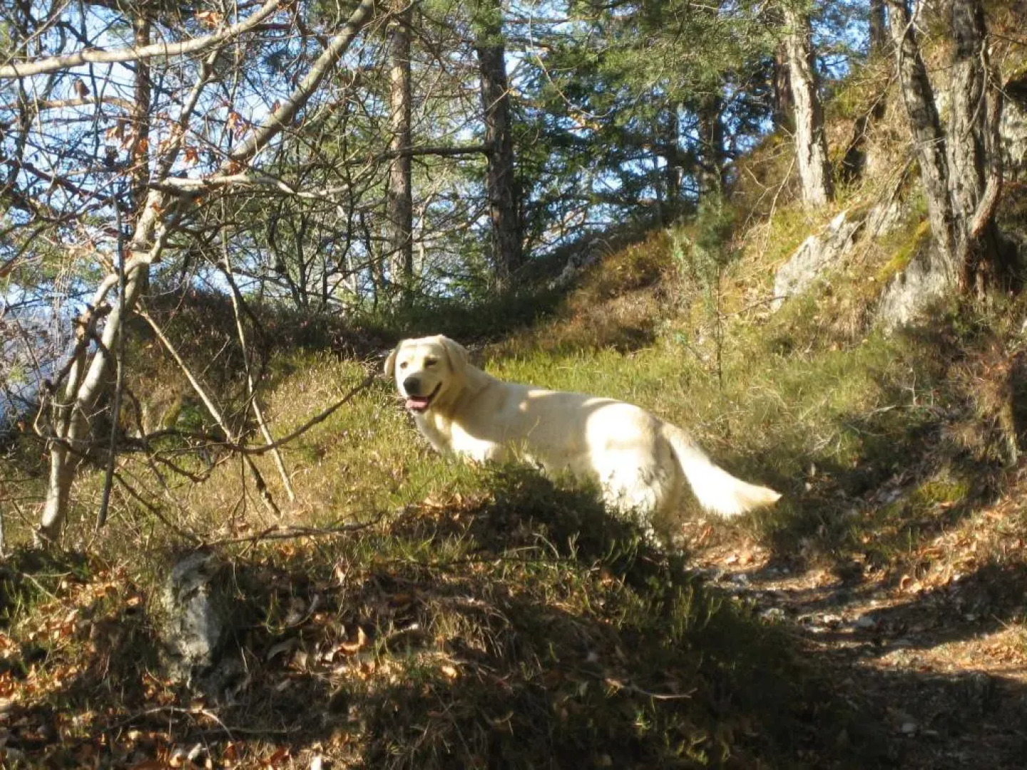 La Casa della Coccinella